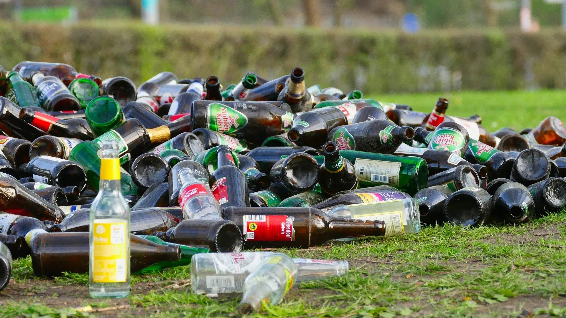bottles-3302316_1920_c.pixabay_satya_prem